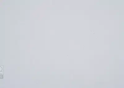 classic quartz stone